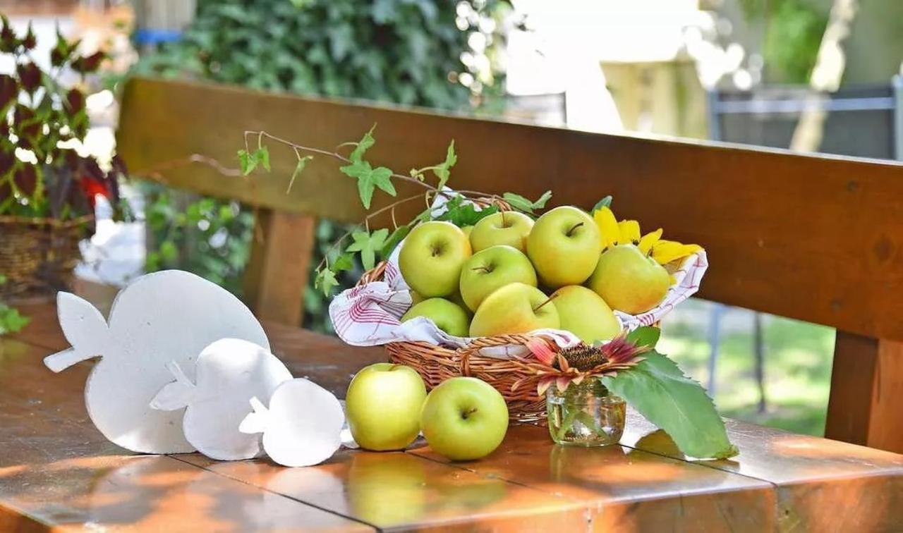 Wohnung Gravensteiner Schnalserhof 라세스 외부 사진